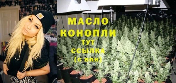 соль ск Богородицк