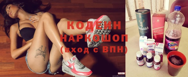 молекула духа Богданович