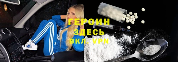 молекула духа Богданович