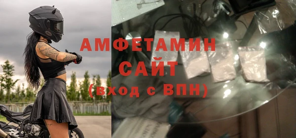 молекула духа Богданович