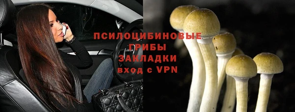 соль ск Богородицк