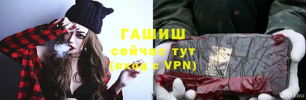 молекула духа Богданович