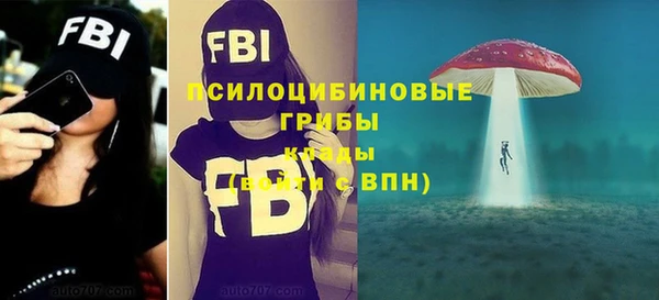 молекула духа Богданович