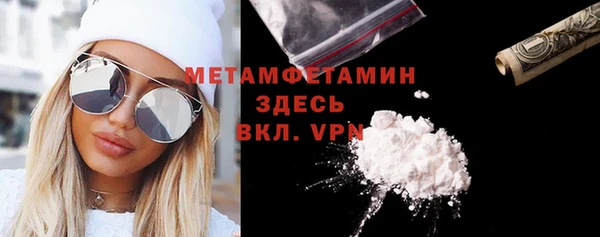 молекула духа Богданович