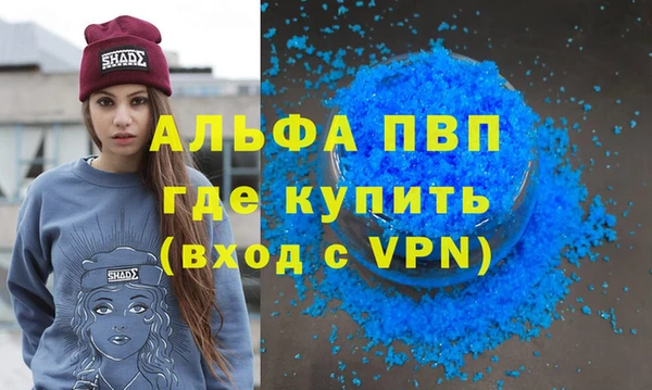 молекула духа Богданович