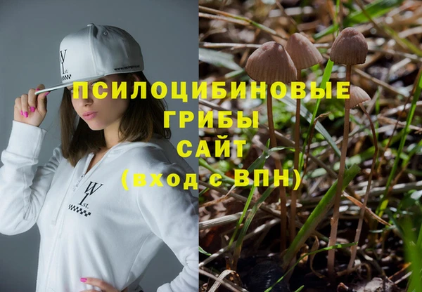 молекула духа Богданович
