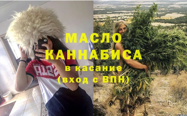 молекула духа Богданович