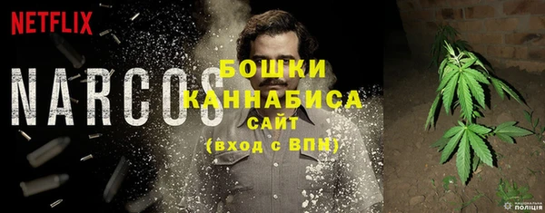 соль ск Богородицк