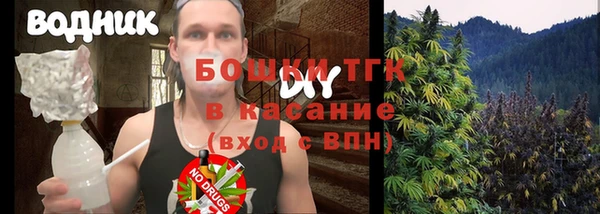 молекула духа Богданович