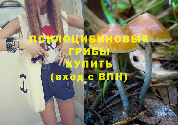 молекула духа Богданович