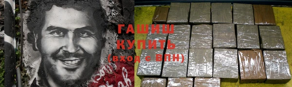 соль ск Богородицк