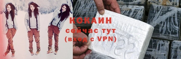 соль ск Богородицк